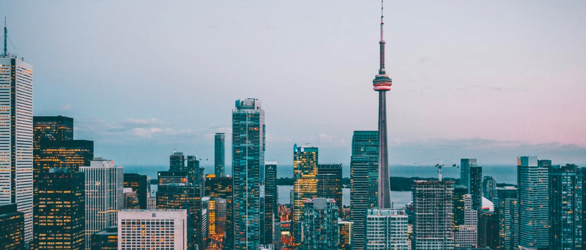 Resultados de la búsqueda